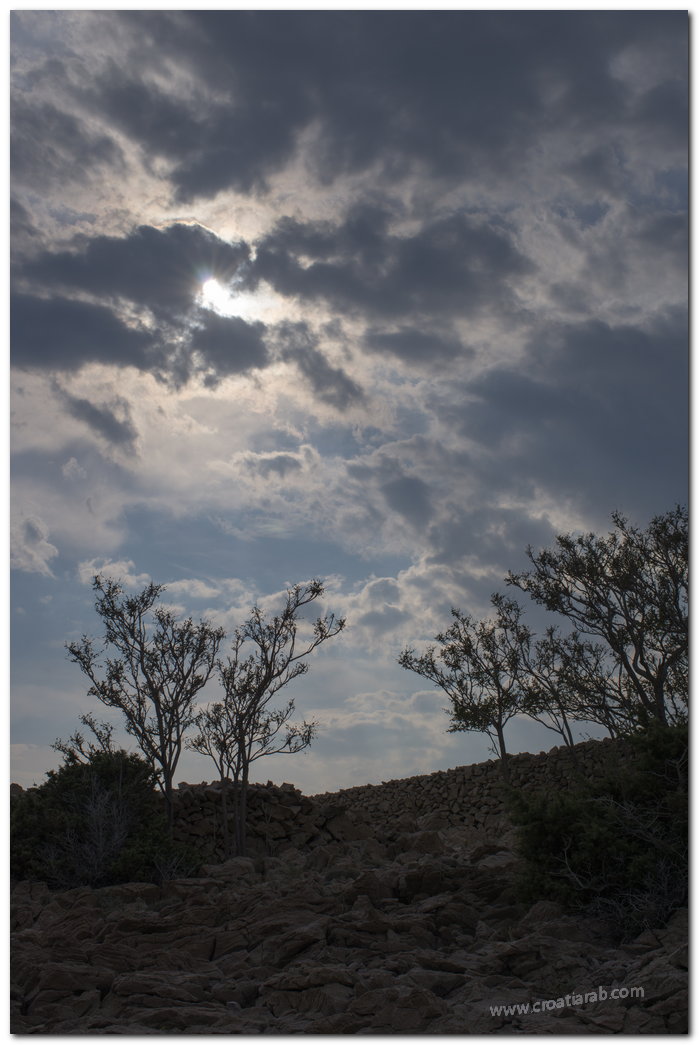 hiking51